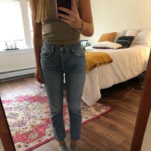 Revolve Agolde Riley highrise straight crop jeans